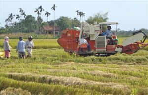 Cơ giới hóa trong sản xuất nông nghiệp: “Chìa khóa” để nâng cao năng suất cây trồng