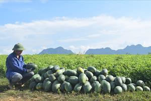 Khuyến nông Yên Bình giúp nông dân nâng cao trình độ và hiệu quả sản xuất