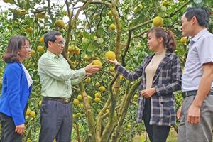 Báo chí có vai trò quan trọng trong thành tựu của ngành Nông nghiệp Tuyên Quang