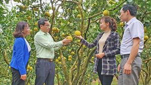 Báo chí có vai trò quan trọng trong thành tựu của ngành Nông nghiệp Tuyên Quang