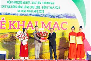 Chi nhánh phía Nam Hội Làm vườn Việt Nam: Hỗ trợ sản xuất và xuất khẩu sầu riêng