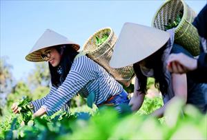 Đất kết hợp đa mục đích: Cơ hội để du lịch nông nghiệp “đẻ trứng vàng”