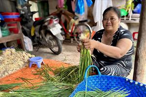 Tín dụng chính sách: Giải pháp hỗ trợ phụ nữ phát triển sinh kế, khởi nghiệp thành công