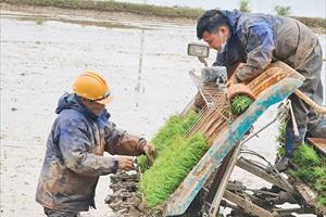 Ngành cơ khí nông nghiệp: Nhiều không gian phát triển