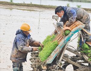 Ngành cơ khí nông nghiệp: Nhiều không gian phát triển