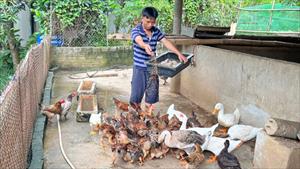 “Làm chơi ăn thật” nhờ nuôi sâu canxi