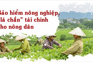 Bảo hiểm nông nghiệp, “lá chắn” tài chính cho nông dân