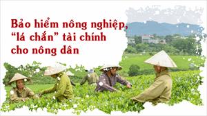 Bảo hiểm nông nghiệp, “lá chắn” tài chính cho nông dân