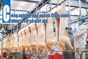 Công nghiệp hóa ngành Chăn nuôi nhìn từ cơ sở giết mổ