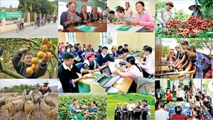 Chống đói nghèo, bài học Việt Nam nhìn từ NHCSXH