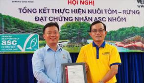 Cà Mau: 1.860ha tôm-rừng đạt chứng nhận ASC Group