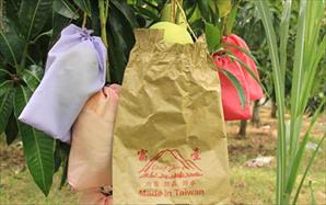Dùng túi để bọc trái cây: Cần có cơ quan kiểm soát chất lượng
