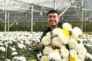 Số hóa ngành hoa đưa hoa Việt ra biển lớn