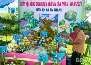 Hơn 100 sản phẩm nông nghiệp trình làng ở “thủ phủ” trái cây Bình Định