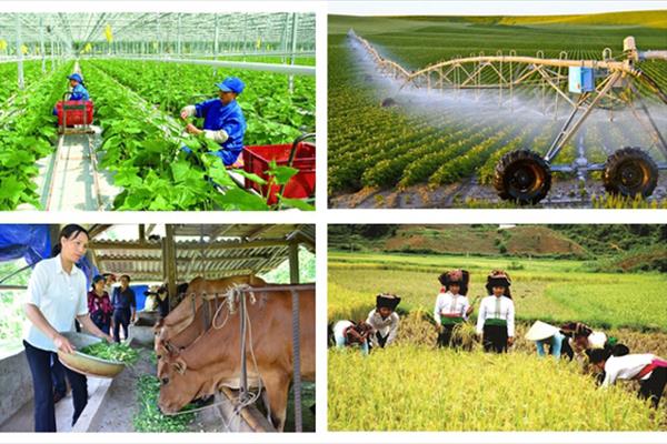 Tổng điều tra nông thôn, nông nghiệp năm 2025 vào ngày 1/7/2025