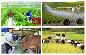 Tổng điều tra nông thôn, nông nghiệp năm 2025 vào ngày 1/7/2025