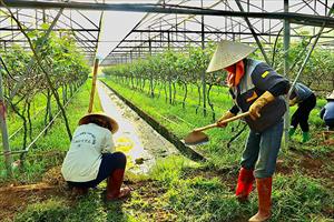 Công điện của Thủ tướng về hỗ trợ doanh nghiệp tháo gỡ khó khăn, thúc đẩy hoạt động sản xuất kinh doanh