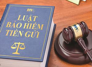 Kịp thời sửa đổi Luật Bảo hiểm tiền gửi, tạo cơ sở pháp lý cho Bảo hiểm tiền gửi Việt Nam phát huy vai trò đối với hệ thống ngân hàng