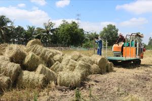 Phát triển kinh tế tuần hoàn từ sản xuất và chế biến lúa gạo