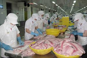 Kỳ vọng xuất khẩu cá tra những tháng cuối năm