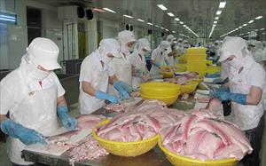 Kỳ vọng xuất khẩu cá tra những tháng cuối năm