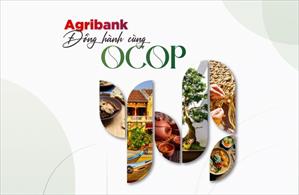 Agribank đồng hành cùng Chương trình OCOP