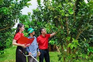 Agribank đồng hành tổ chức Giải báo chí toàn quốc về nông nghiệp, nông dân, nông thôn Việt Nam lần thứ II năm 2024