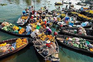 Giải pháp phát triển nguồn nhân lực cho ngành Du lịch vùng ĐBSCL