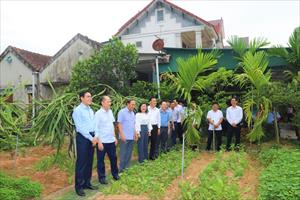 Hà Tĩnh: Khuyến khích phát triển nông nghiệp gắn với xây dựng tỉnh đạt chuẩn nông thôn mới
