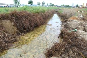 Nông dân được đền bù sau vụ ruộng lúa nhiễm dầu ở Can Lộc