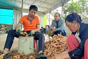 Xây dựng Nam Đàn thành huyện nông thôn mới kiểu mẫu