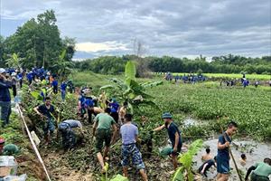 Thanh niên Đà Nẵng chung tay bảo vệ môi trường, xây dựng nông thôn mới