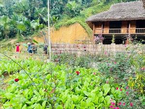 Nghĩa Đô thi đua thực hiện phong trào “Cổng đẹp rào xanh”