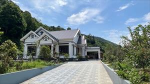 Ngỡ ngàng ngắm “Nhà sạch vườn đẹp” của nông dân Kim Sơn