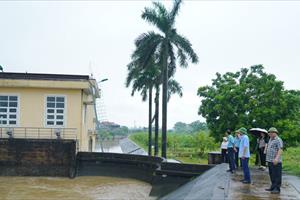 Hà Nam: Mưa lớn, nhiều diện tích lúa bị ngập