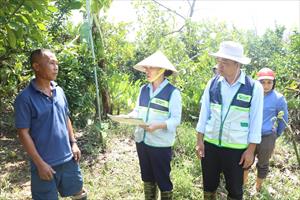 Hỗ trợ tái sản xuất nông nghiệp sau thiên tai cần linh hoạt, hiệu quả