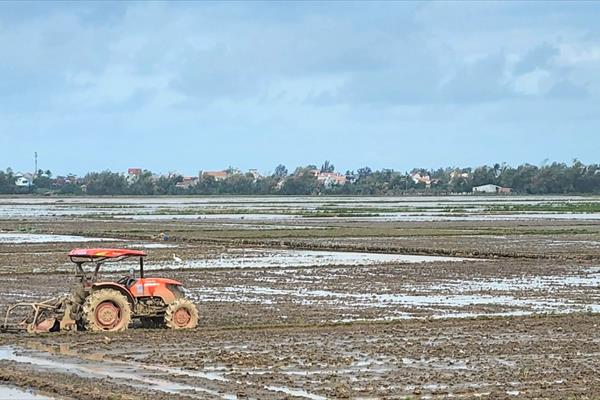 Phú Yên chuyển đổi đất trồng lúa: Động lực mới cho các dự án, công trình