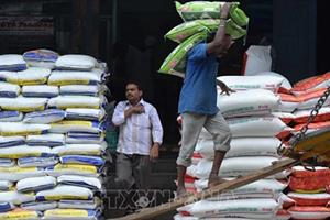 Ấn Độ được dự báo tiếp tục dẫn đầu thị trường gạo thế giới