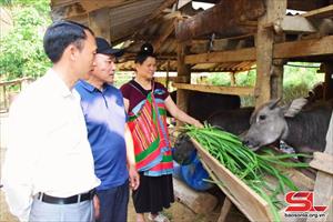 Sơn La tích cực hỗ trợ nông dân phát triển kinh tế