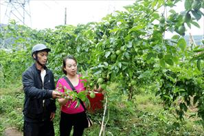 Các chương trình MTQG góp phần phát triển kinh tế nông nghiệp ở Lai Châu