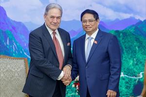 Sớm đưa kim ngạch thương mại Việt Nam-New Zealand đạt mục tiêu 3 tỷ USD