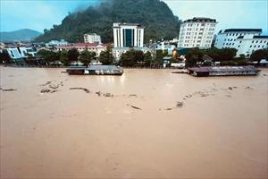 Thủ tướng yêu cầu khẩn trương khắc phục hậu quả mưa lũ tại các tỉnh Bắc Bộ