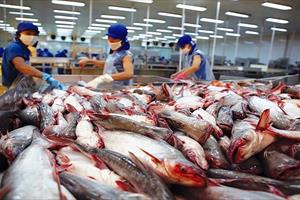 Xuất khẩu cá tra tăng trưởng khả quan tại thị trường UAE
