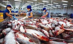 Xuất khẩu cá tra tăng trưởng khả quan tại thị trường UAE