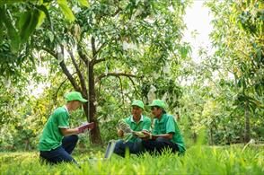 Đồng Tháp: Nghiên cứu tích hợp tái cơ cấu nông nghiệp vào Đề án “tam nông”