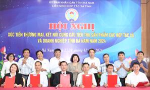 Xúc tiến thương mại kết nối cung cầu tiêu thụ sản phẩm các HTX và doanh nghiệp