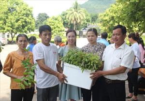 Để người dân miền núi xứ Thanh sống “khỏe” từ cây dược liệu (Bài 2): Mô hình hiệu quả, cách làm hay