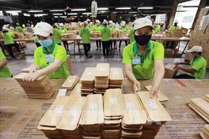 Doanh nghiệp xuất khẩu gỗ tăng tốc sản xuất