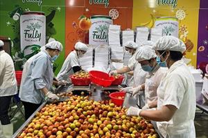Yếu tố tiên quyết để trái cây Việt “phủ sóng” xuất khẩu