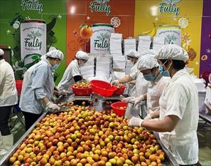 Yếu tố tiên quyết để trái cây Việt “phủ sóng” xuất khẩu